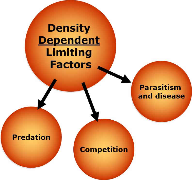 nnhsbiology / Population Ecology